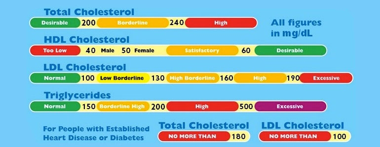 Total Cholesterol Numbers Chart
