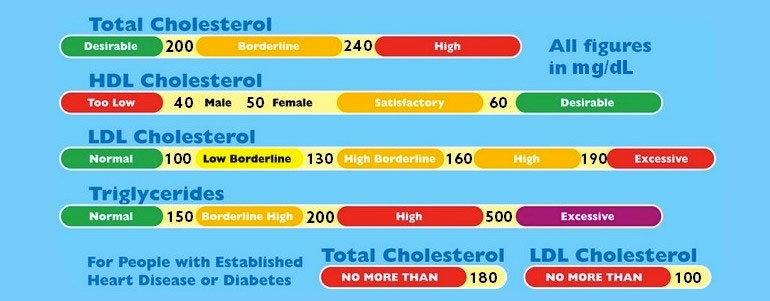 Regular Cholesterol Levels Chart