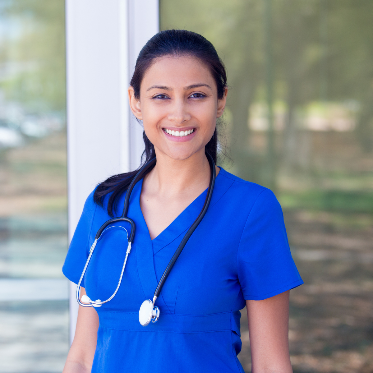 LP Images - Icebox.png