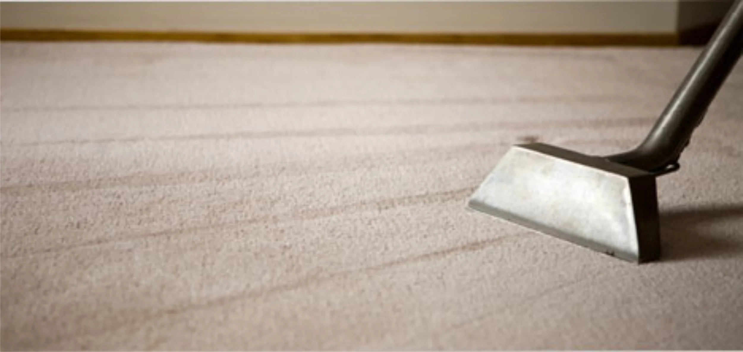 MainPic-Carpet-Cleaning21.jpg