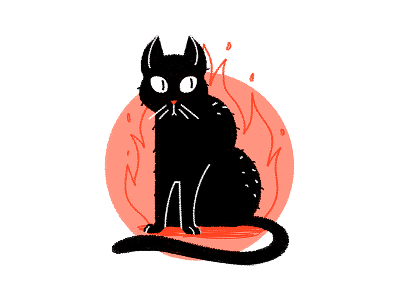 black-cat_dribbble.gif