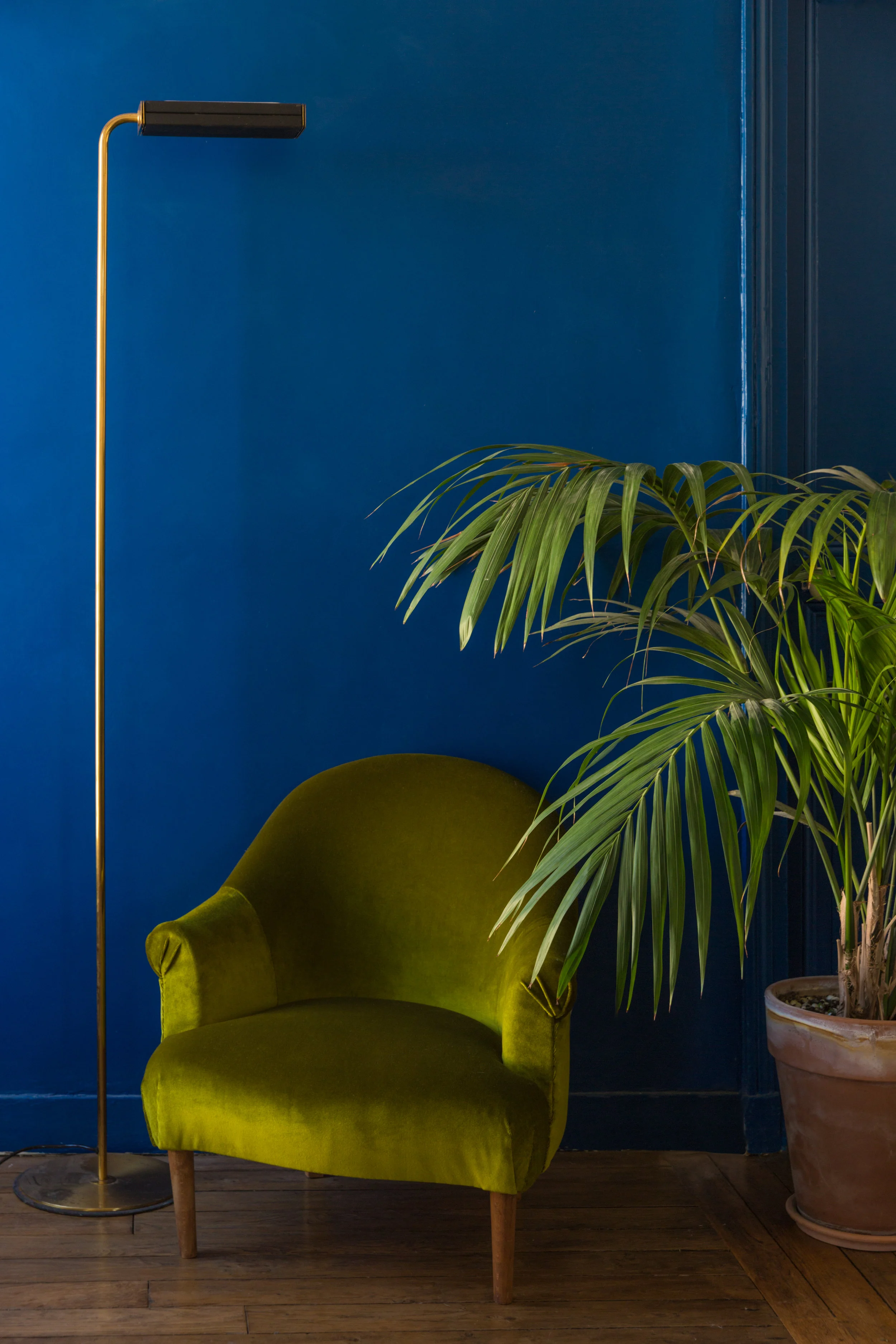 Crapaud en velours vert 