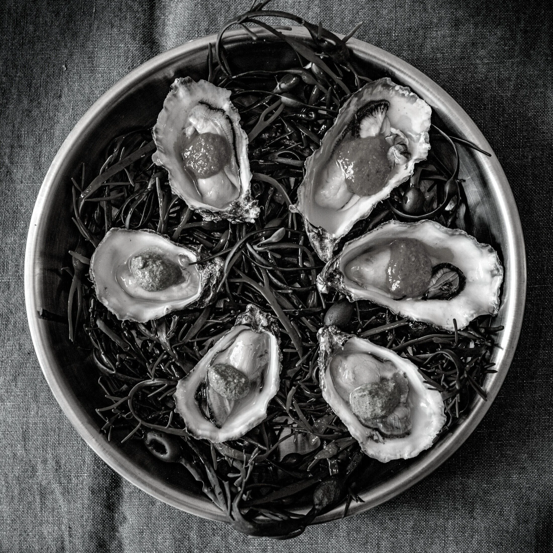 Oysters.jpg