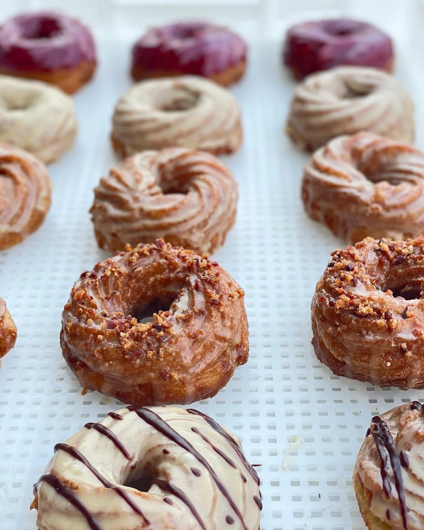 group cruller pic .JPG