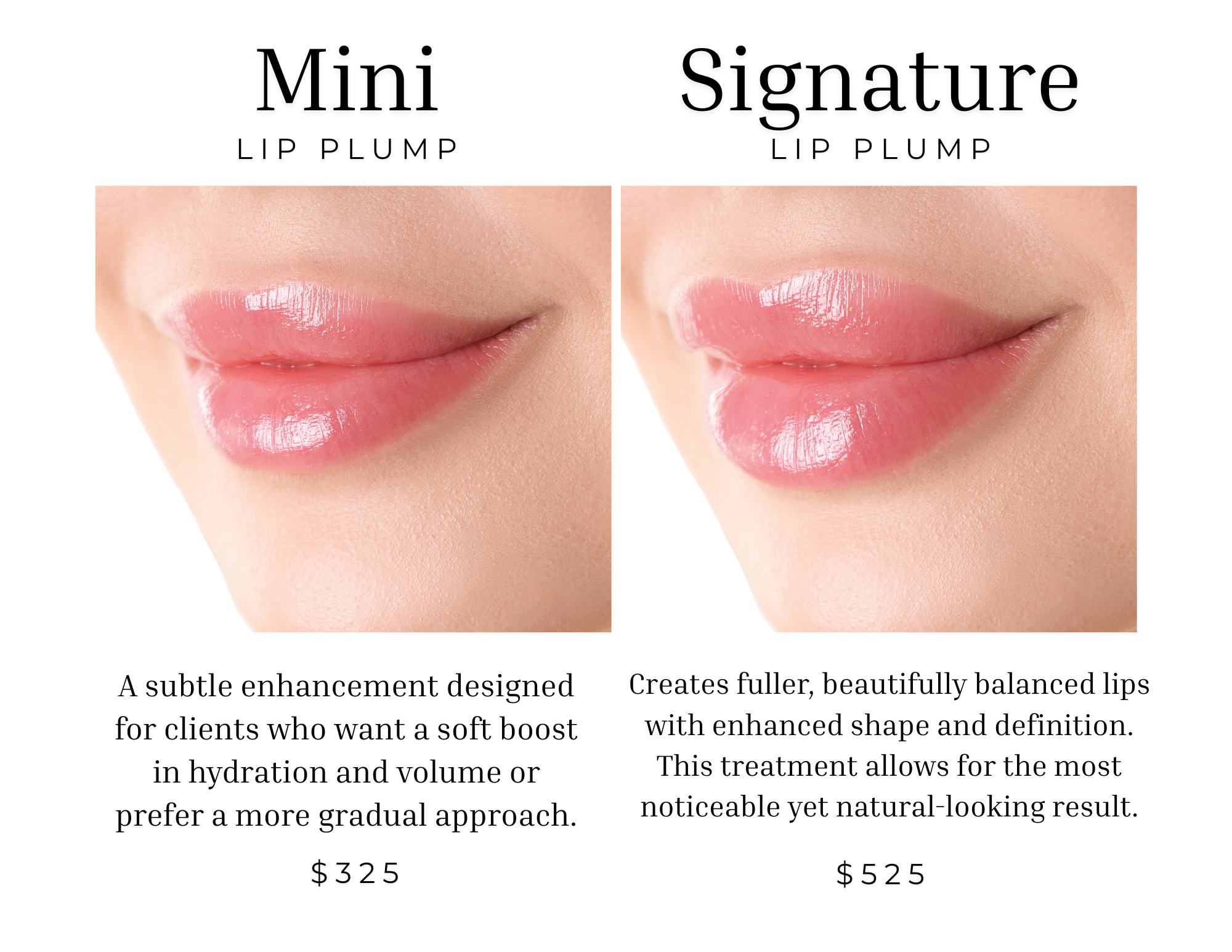 Lip Enhancement Lip Filler Mini Lip Plump Lip Hydration
