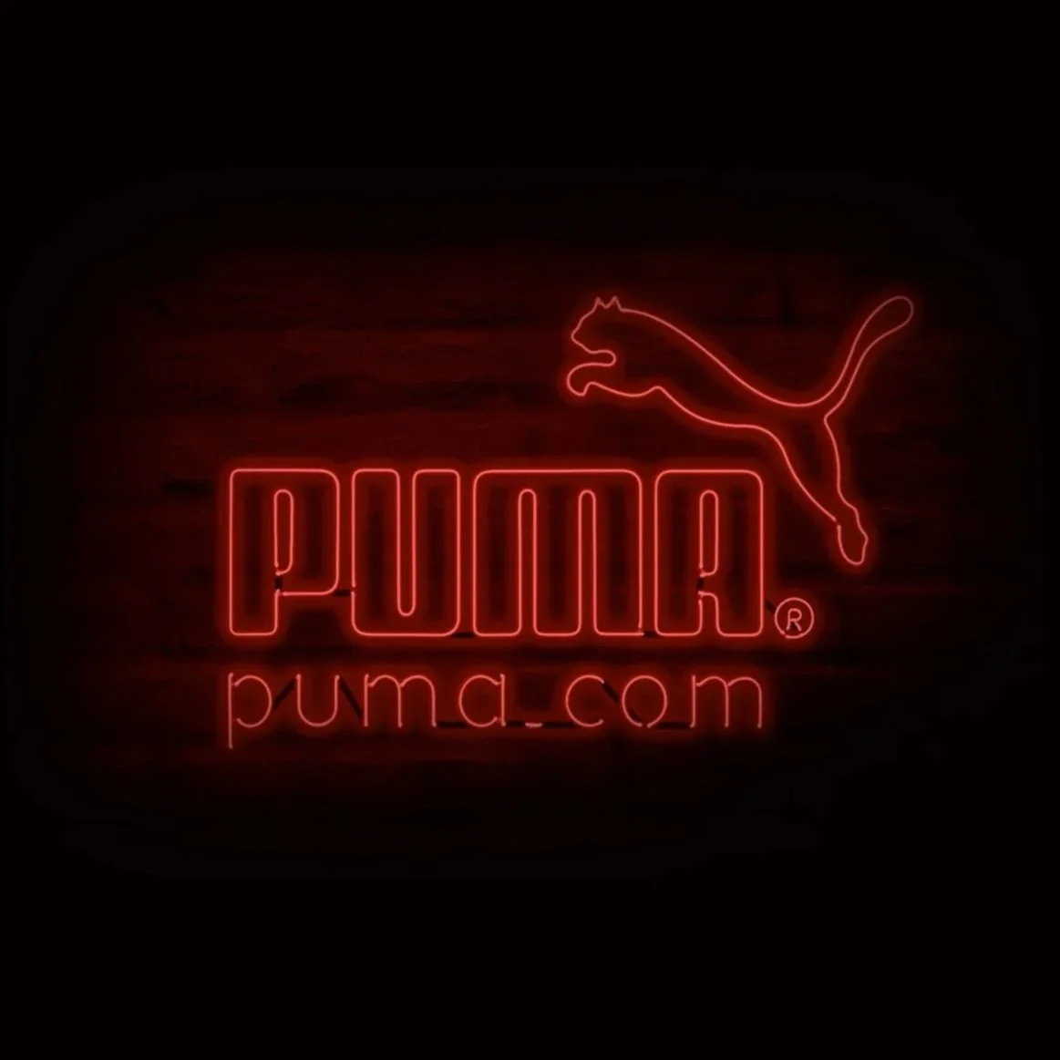 PUMA