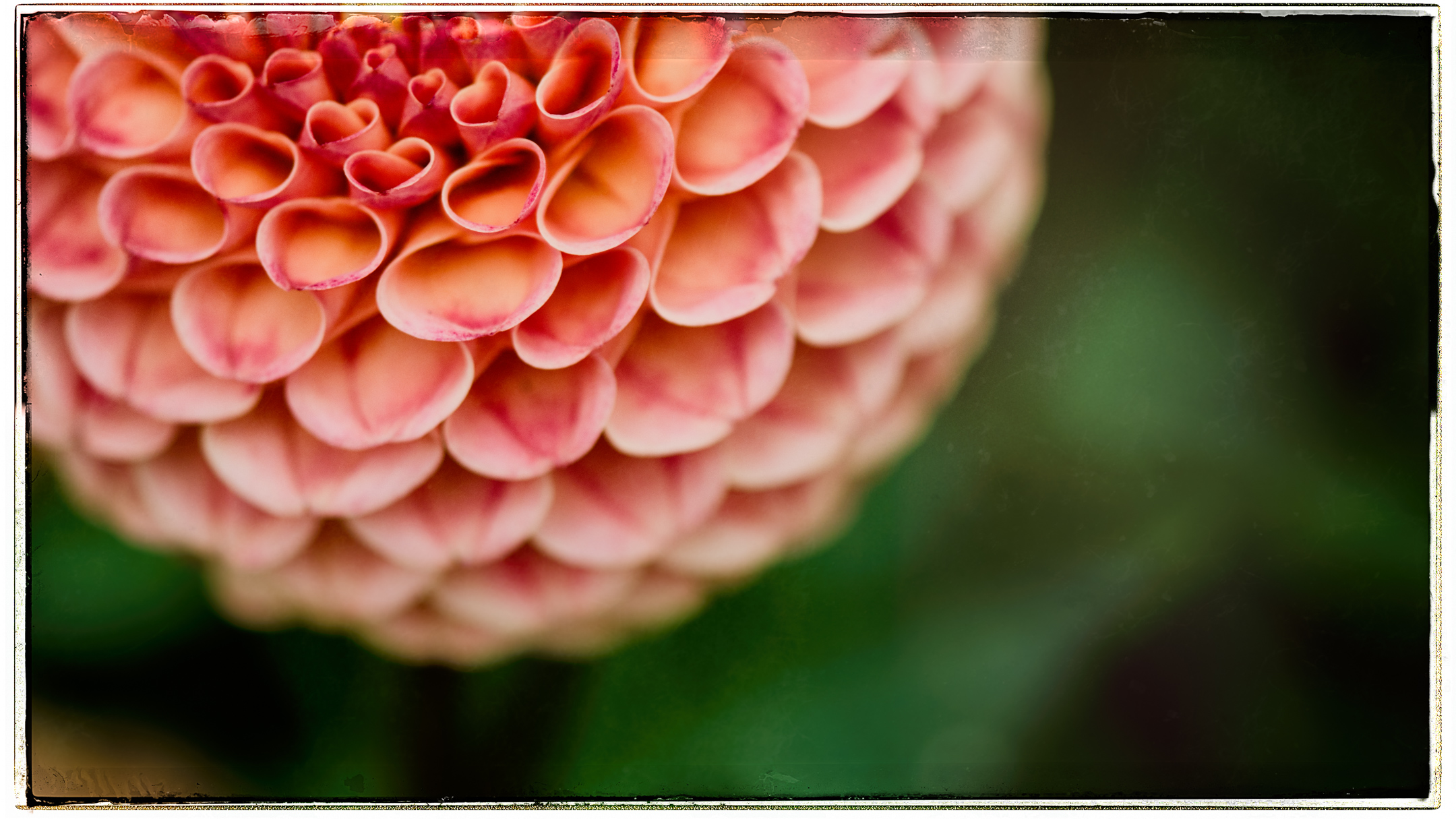 DSC_4815-Edit.jpg