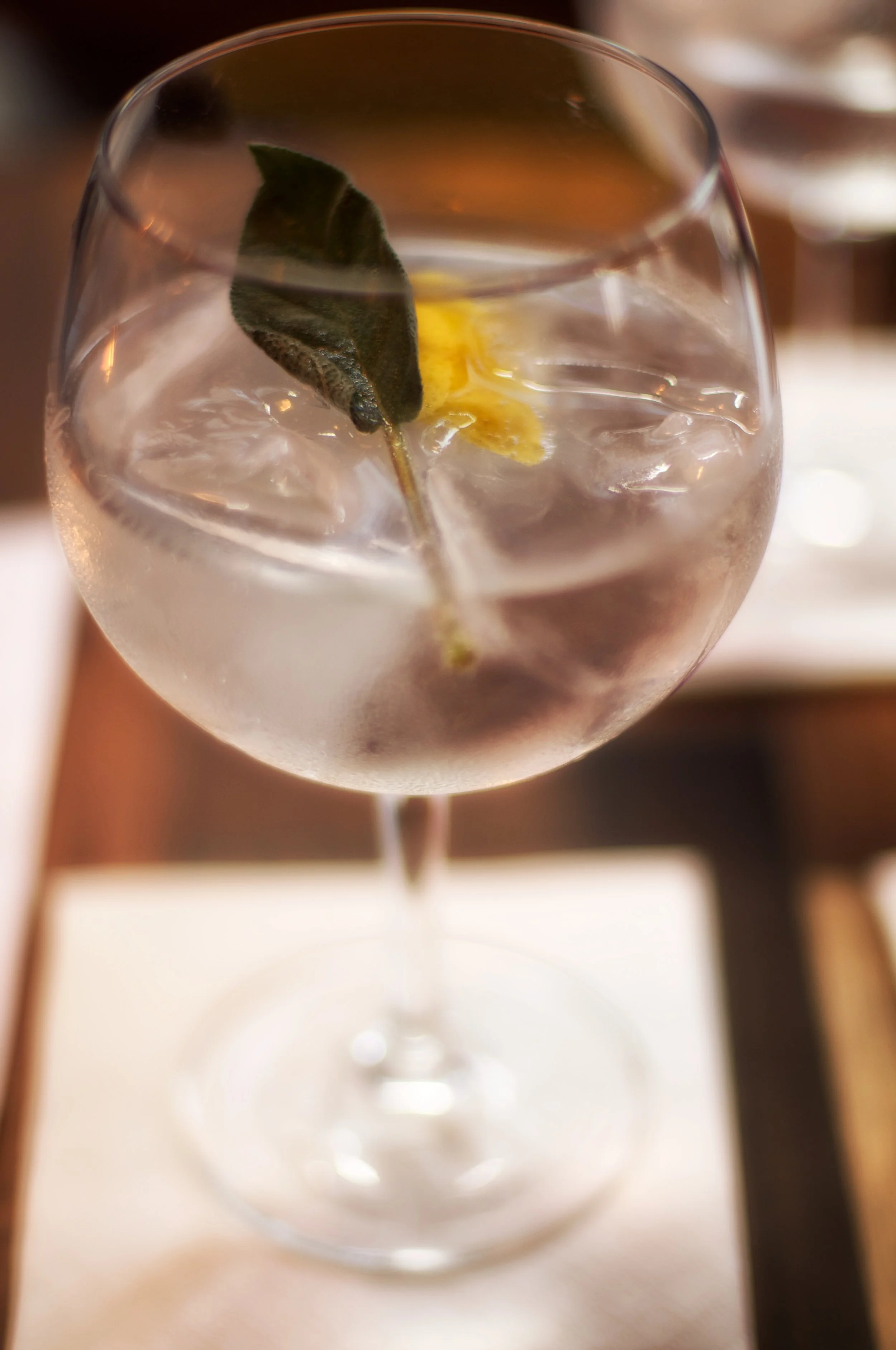 gin-4.jpg