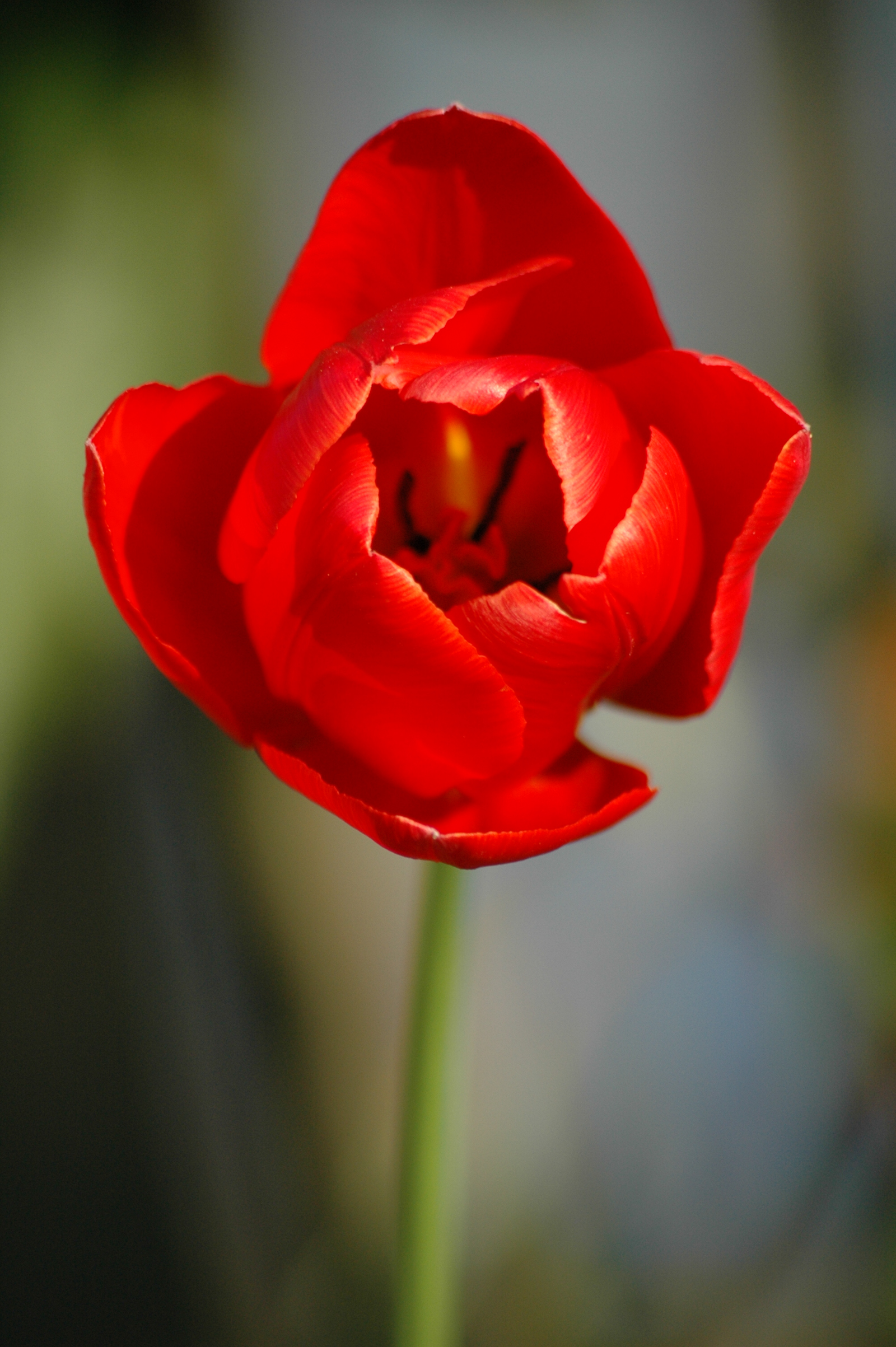 DSC_0114_644.jpg