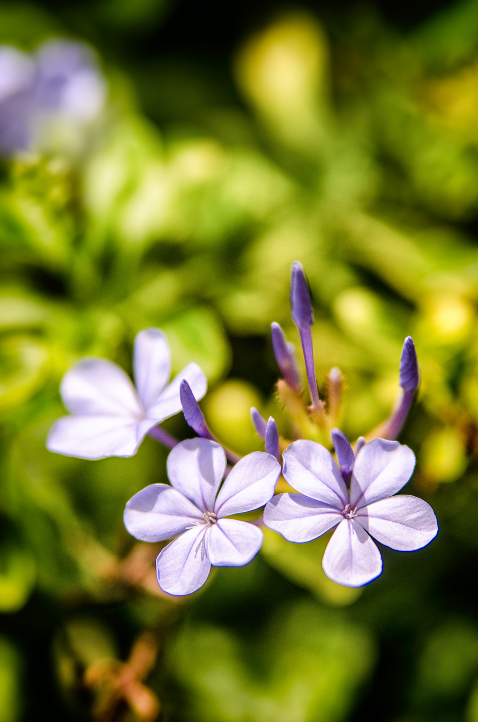 DSC_4077_205789-Edit.jpg
