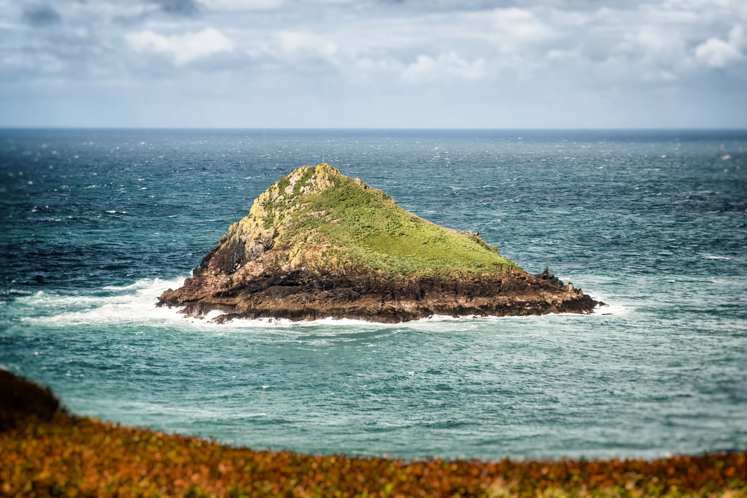 DSC_8427-Edit.jpg