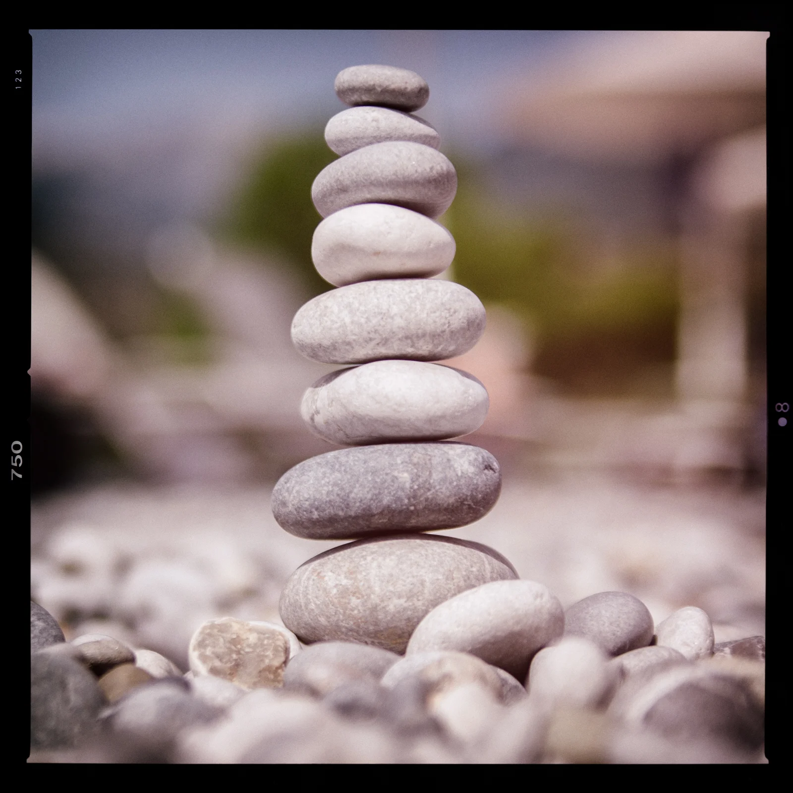 DSC_3769-Edit.jpg