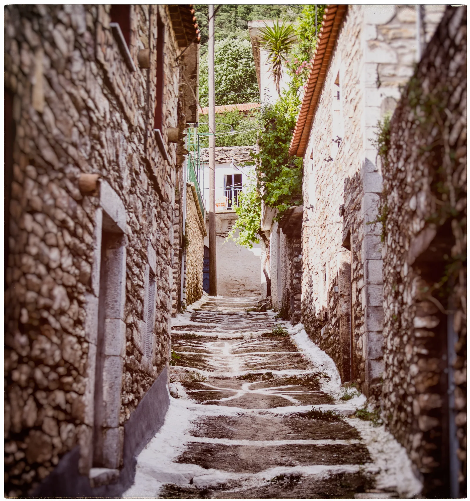 DSC_3445-Edit.jpg