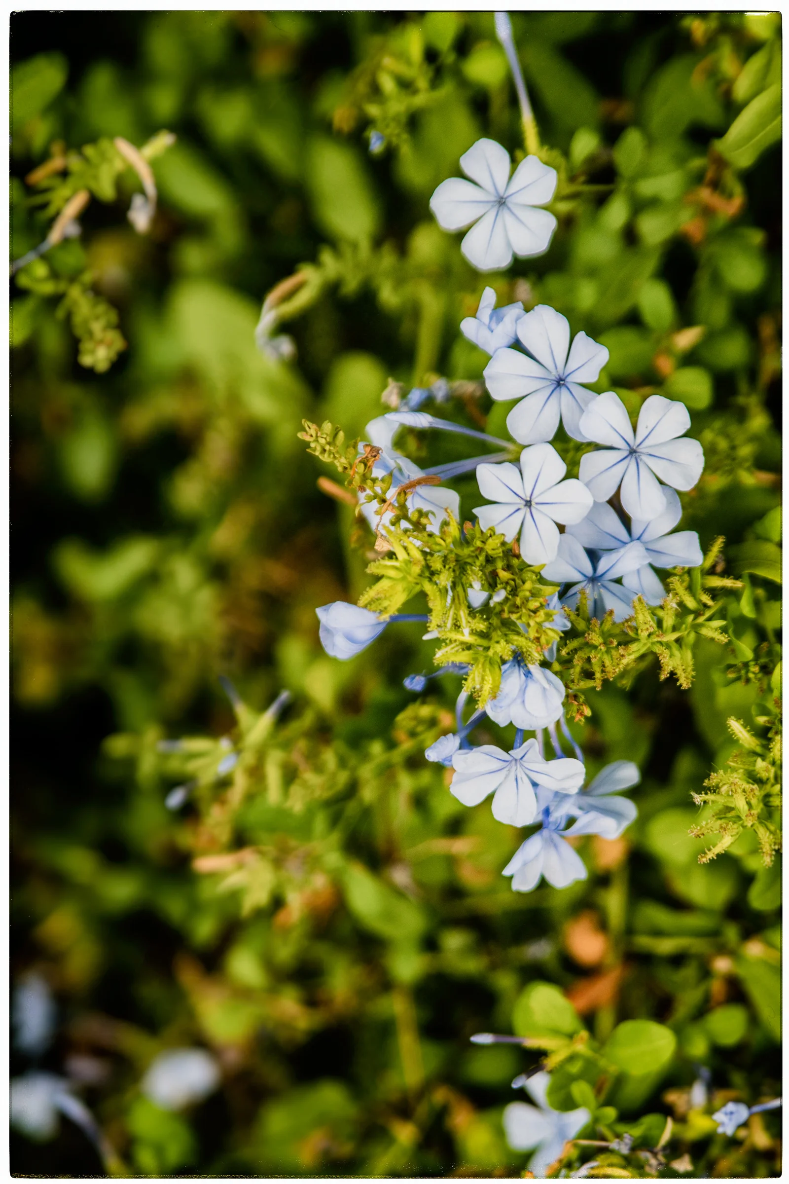 DSC_9526-Edit.jpg