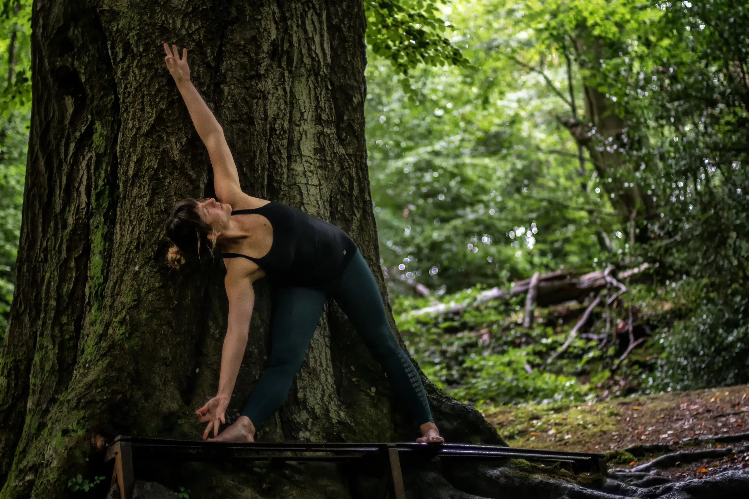 DSC_8018-Edit-Edit.jpg