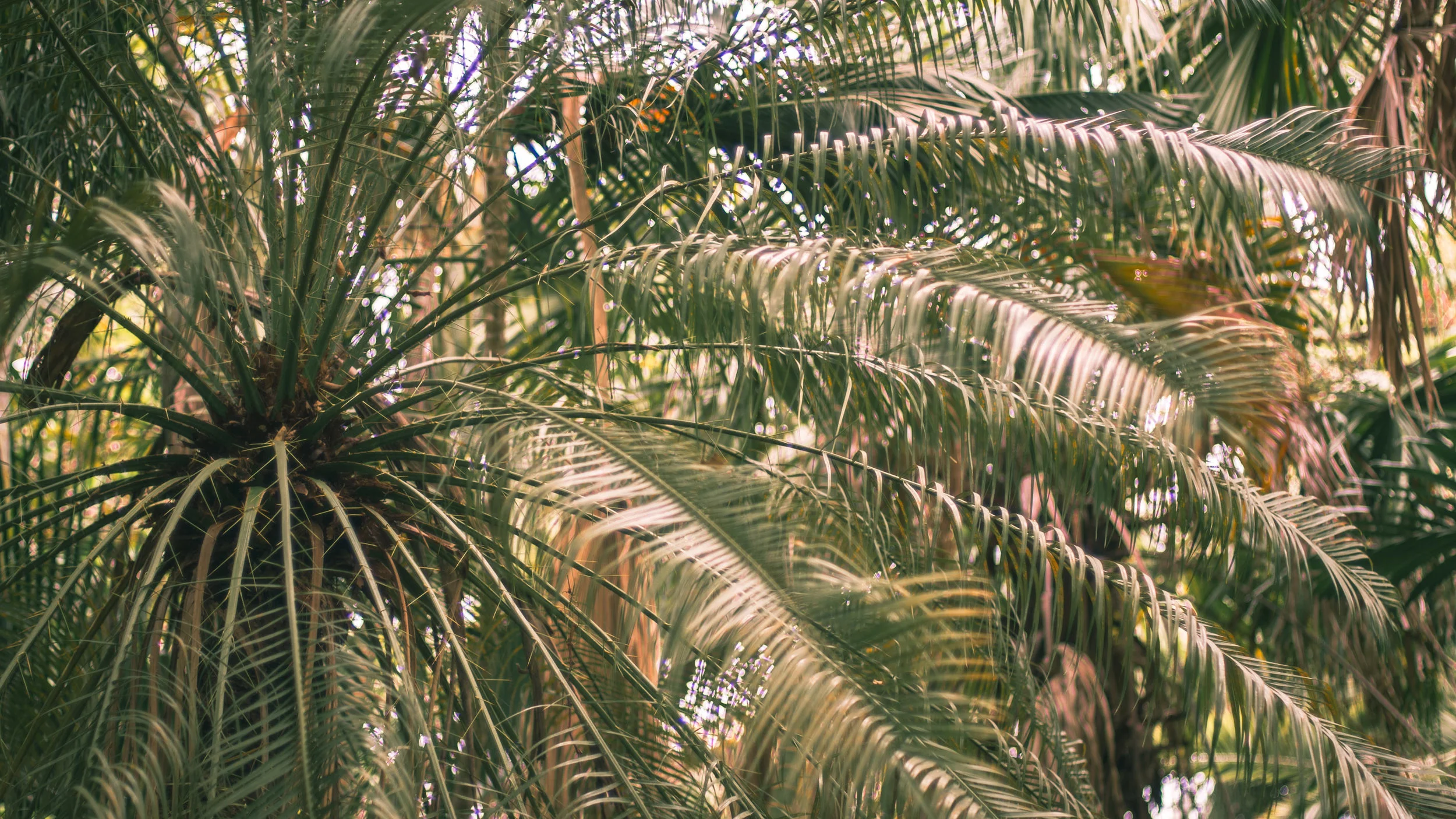DSC_0305.jpg