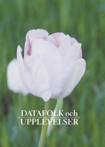datafolkUpplevelser.png