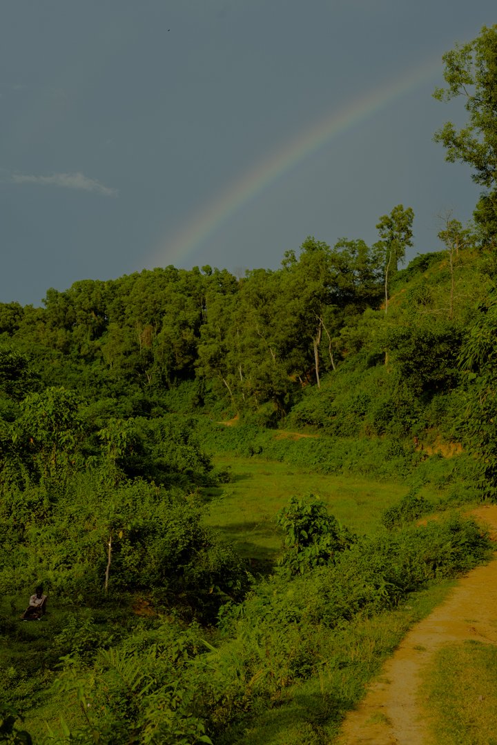  Habitat decline of the Asian elephant heats up the conflict between humans and them. Furthermore it leads to a fragmentation of their routes and corridors, which they have been using for generations for their daily movement. Therefore the protection