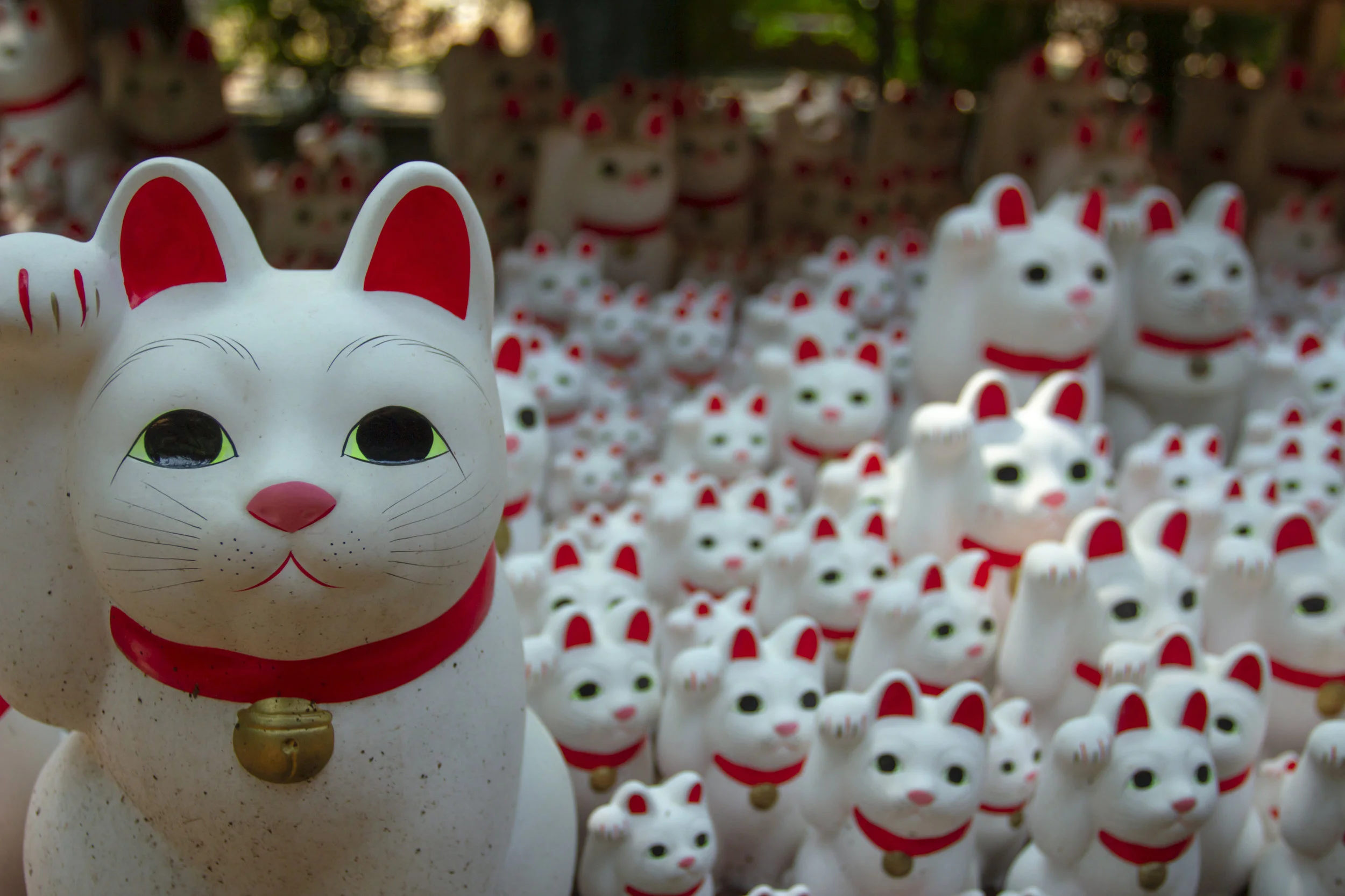Neko 1.jpg