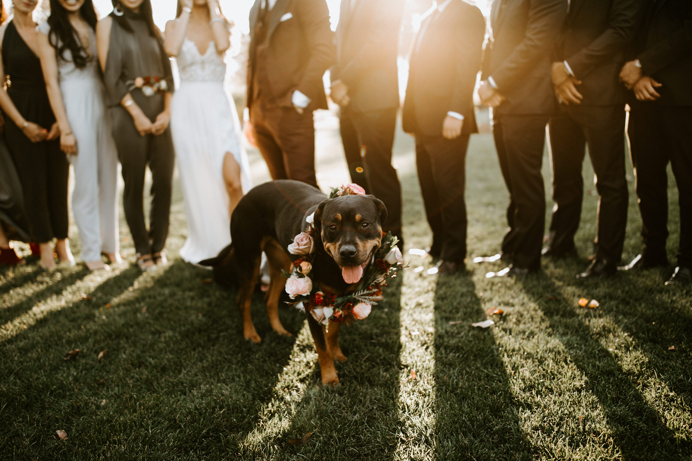 couple-intimate-wedding-northern-california-89.jpg