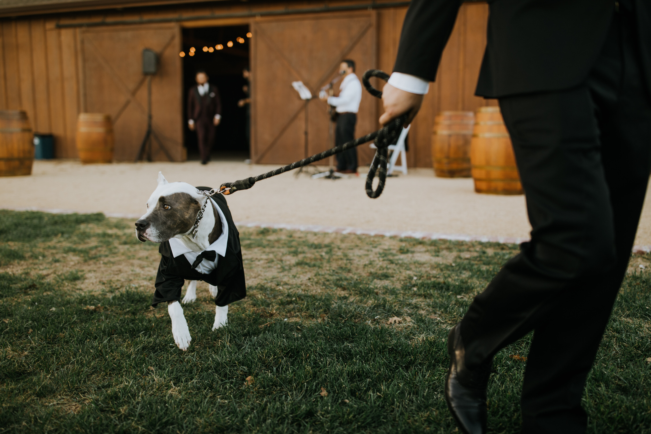 couple-intimate-wedding-northern-california-95.jpg