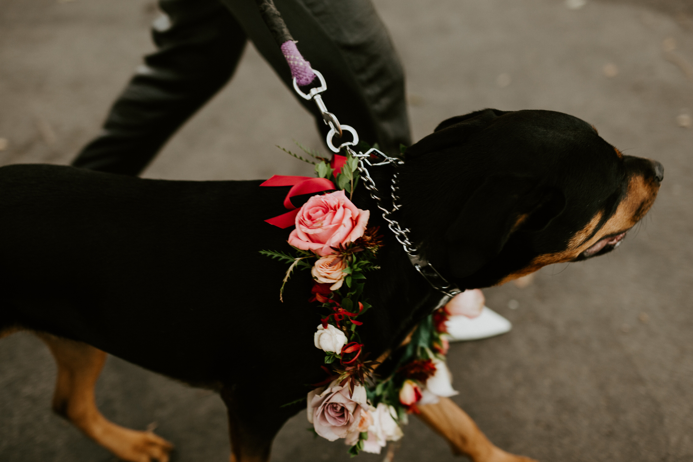 couple-intimate-wedding-northern-california-104.jpg