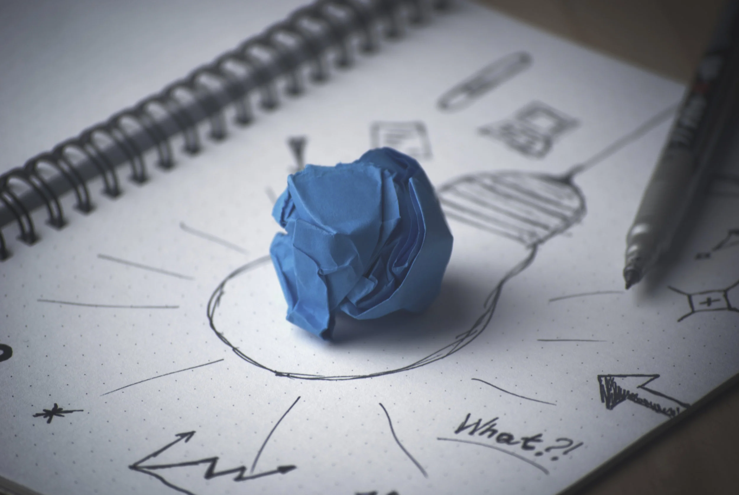 Creating a Culture of Curiosity
