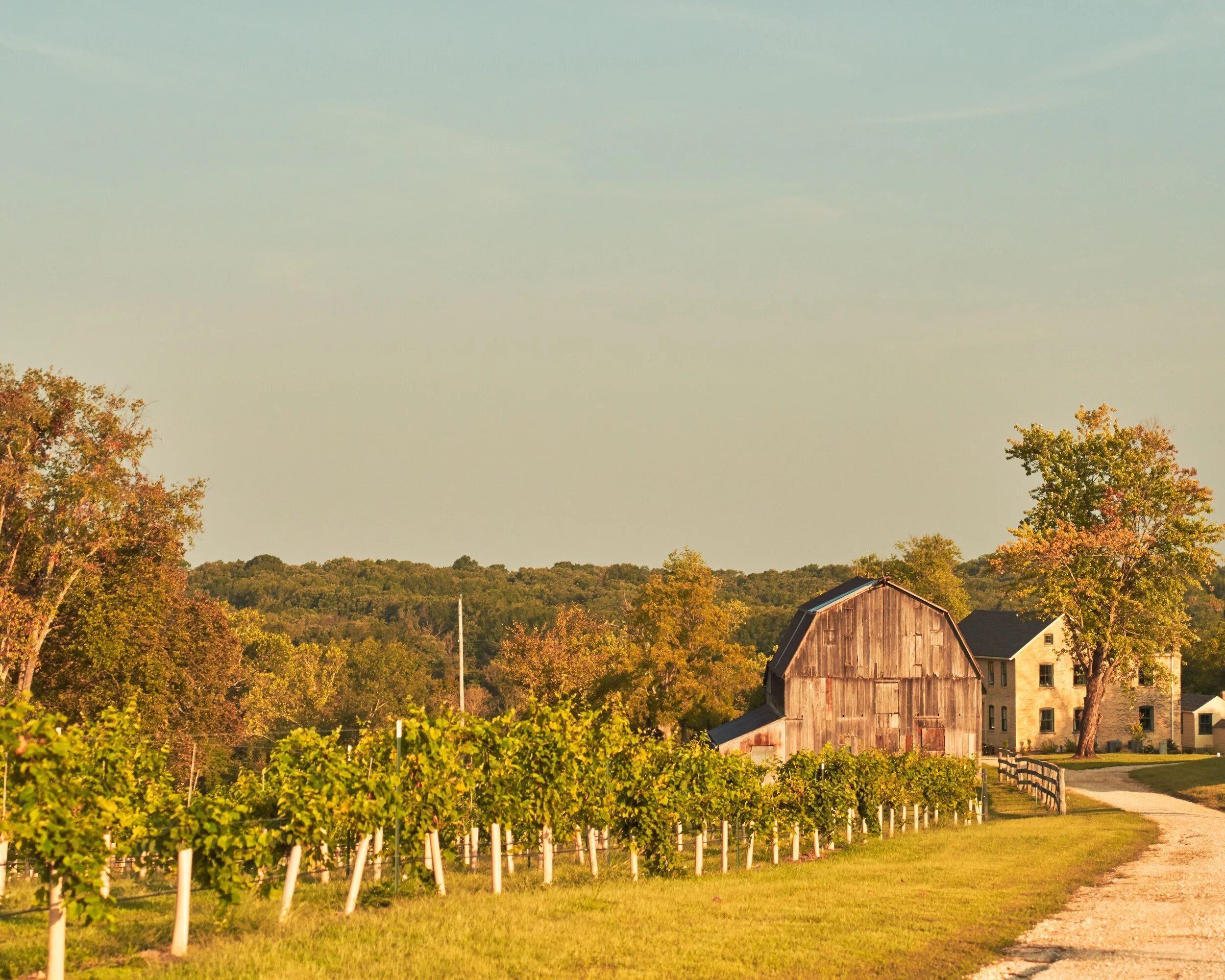 A Pause For Reflection and Appreciation