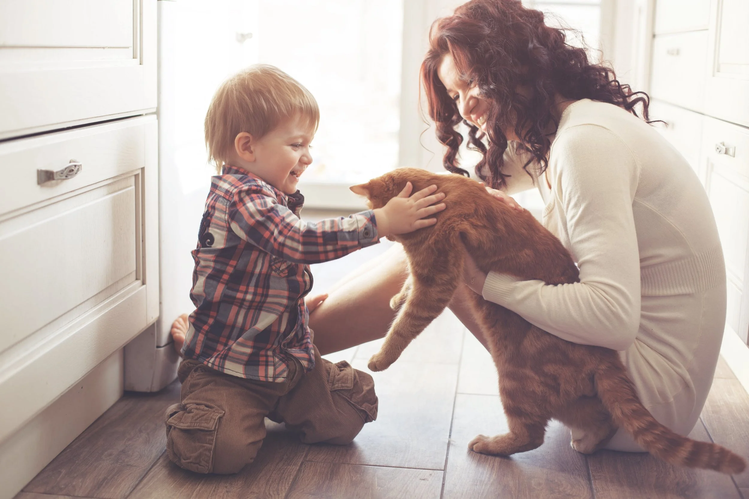 Residential Pest Control In Charlottesville Va Bed Bugs Termite Control In Central Va Brown Exterminating Co
