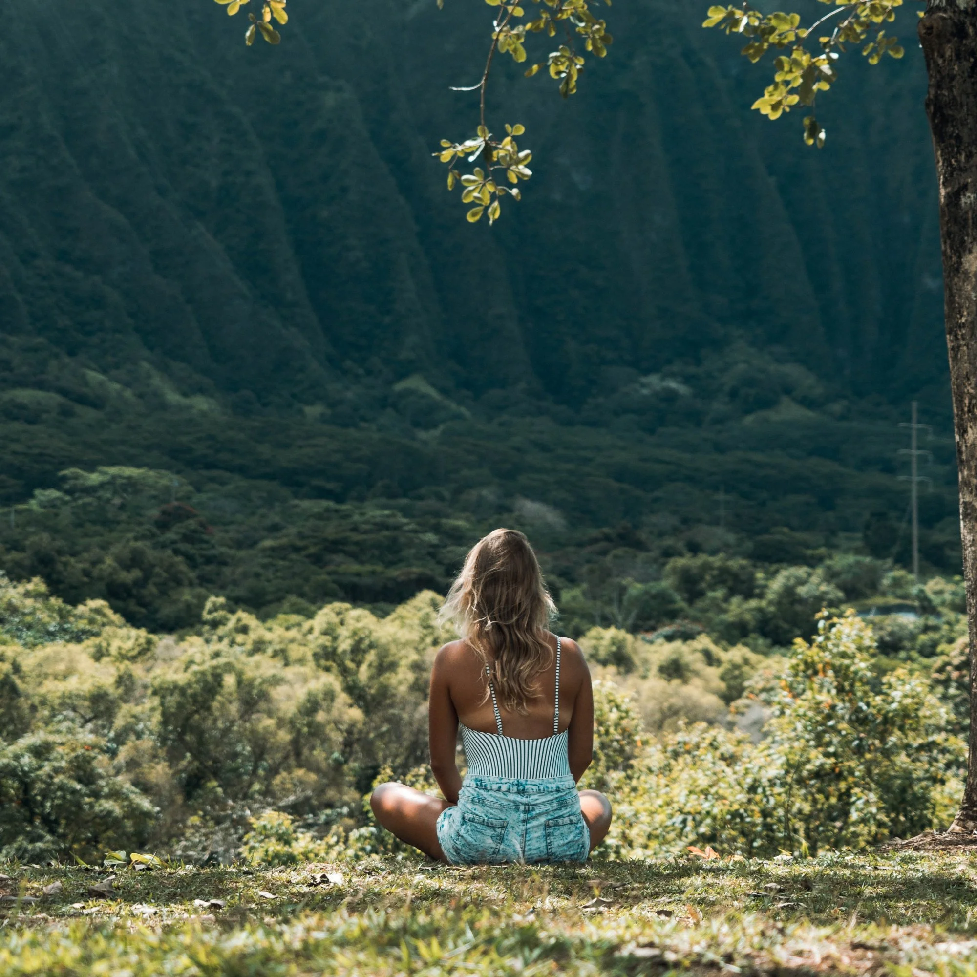 How-To Reprogram Your Mindset and Change Your Life