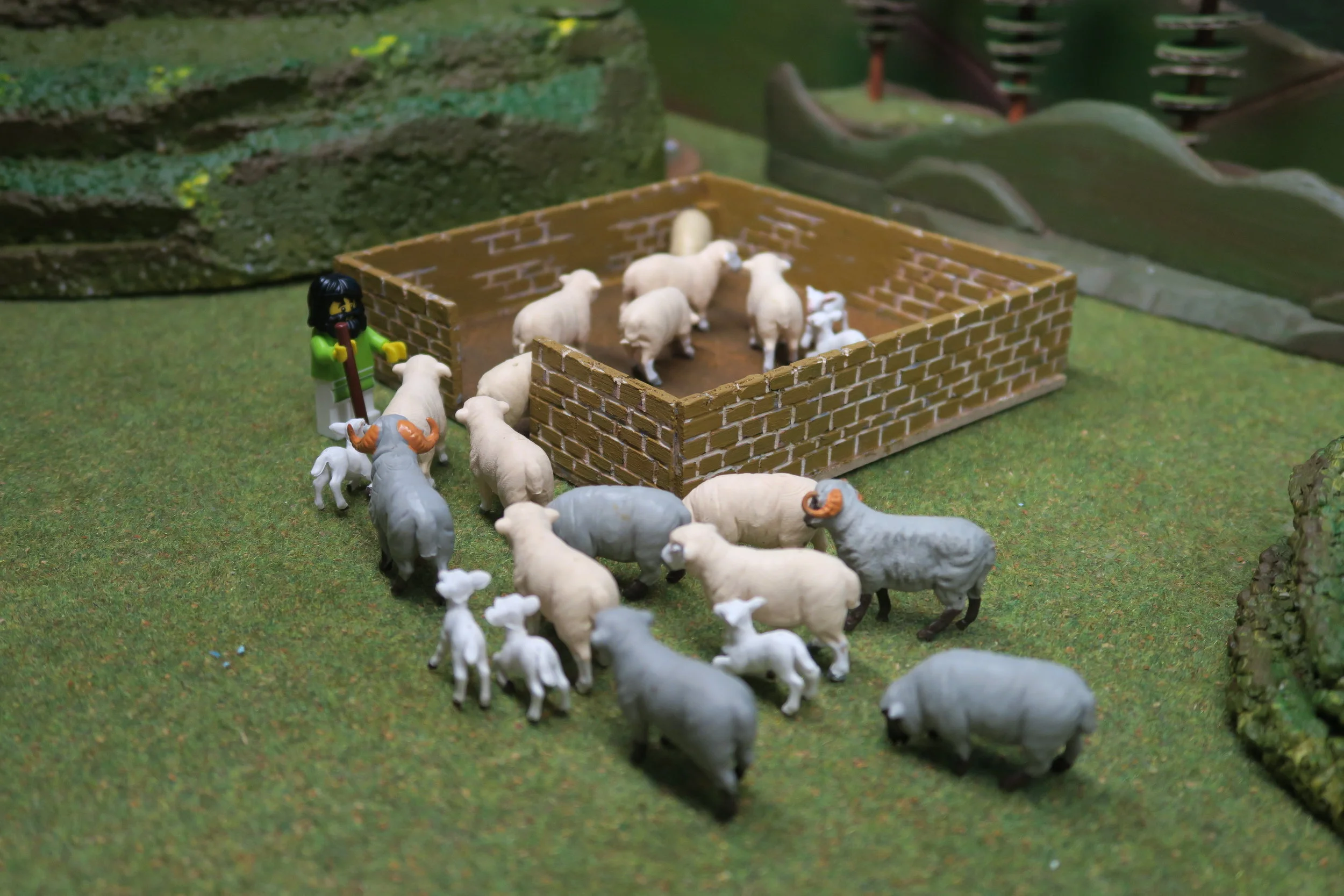   SLIDE 11   Finally, before dark they would arrive back at the sheepfold where they would bed down and spend the night together in safety.    