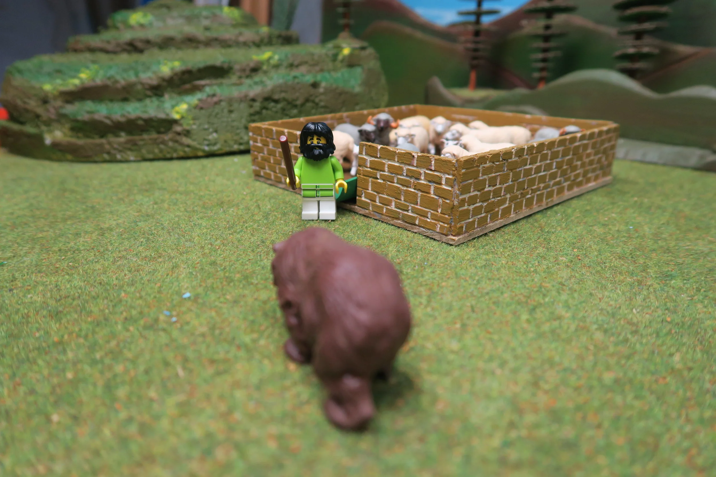   SLIDE 14   Bears certainly were always on the lookout for a meal and if they could get into a sheepfold, they wouldn’t be short of one.    