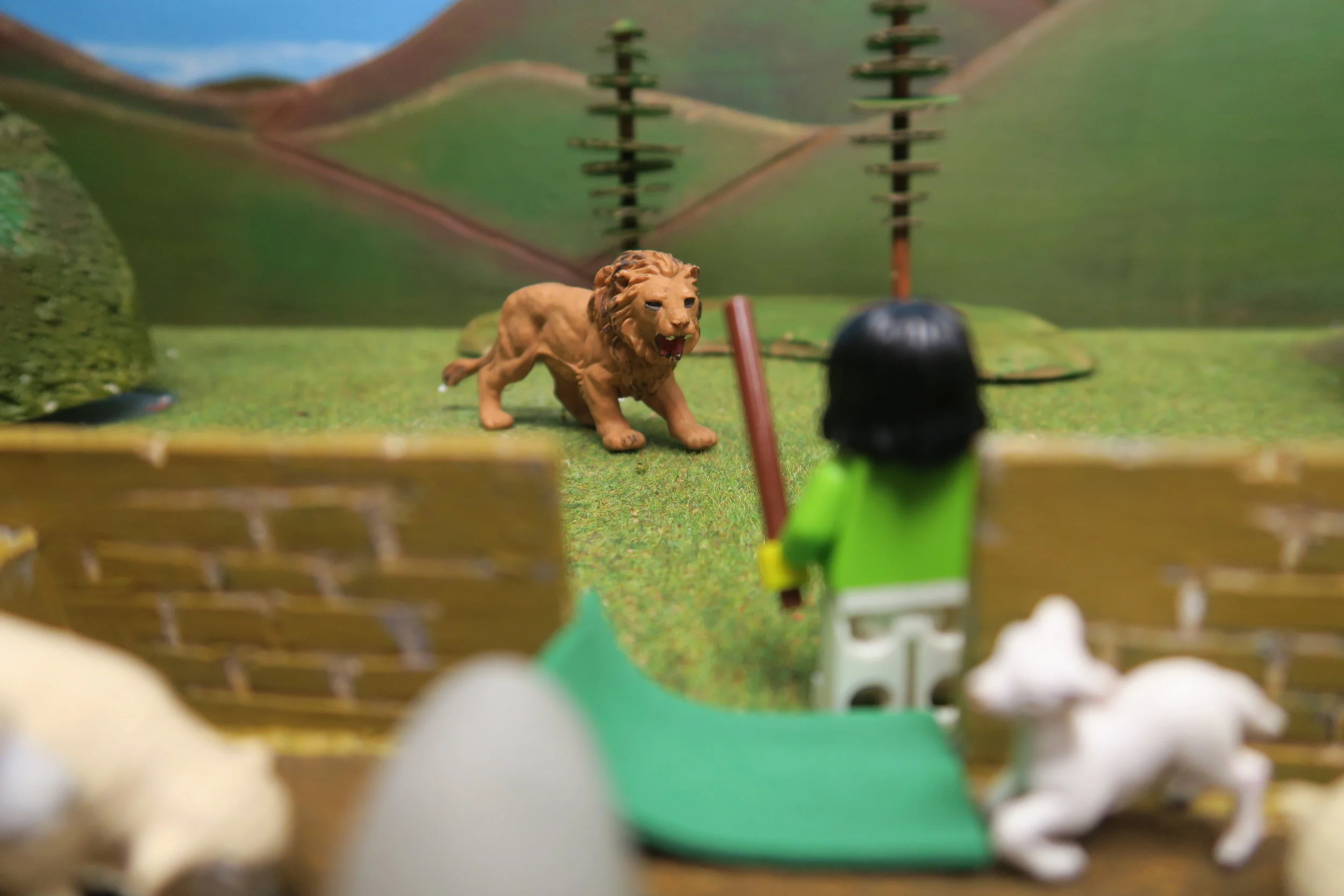   SLIDE 15   Lions too would be on the prowl for a tasty bite at the end of the day and a sheep would do nicely. But with the shepherd on guard the sheep were safe, even against lions and bears.    