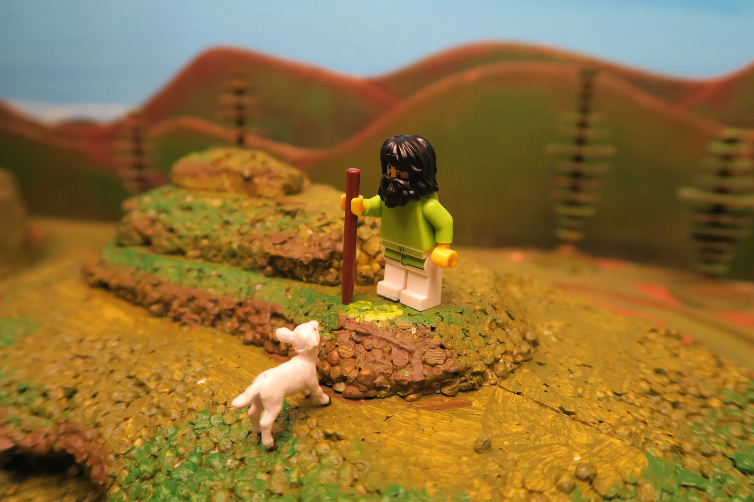   SLIDE 12  Finally, the shepherd clambered up onto the top of the hill and rescued the lamb.    