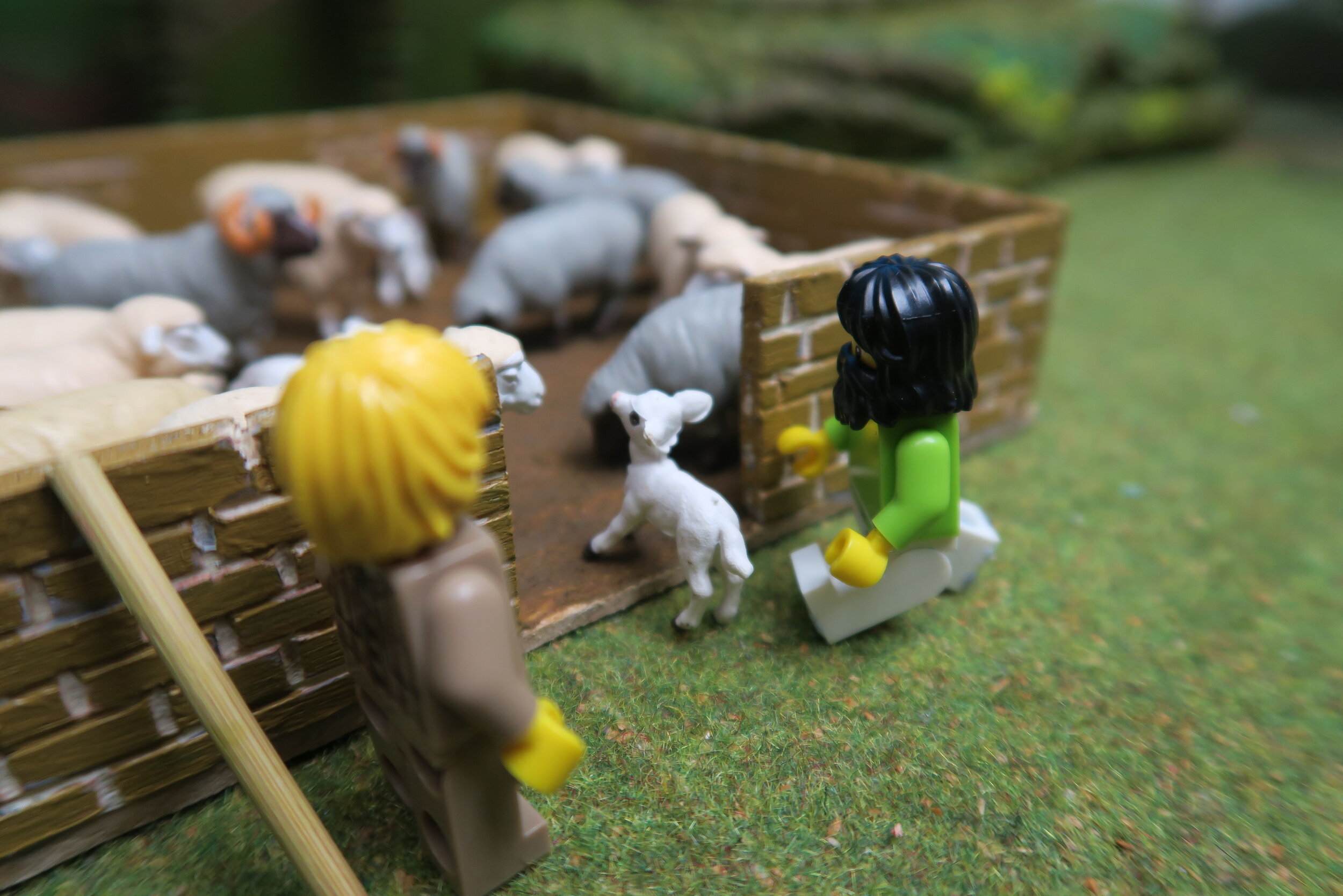  SLIDE 17  Into the fold went the little lamb to join the other sheep. Now he would be safe for the night. 