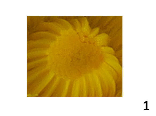 1.PNG