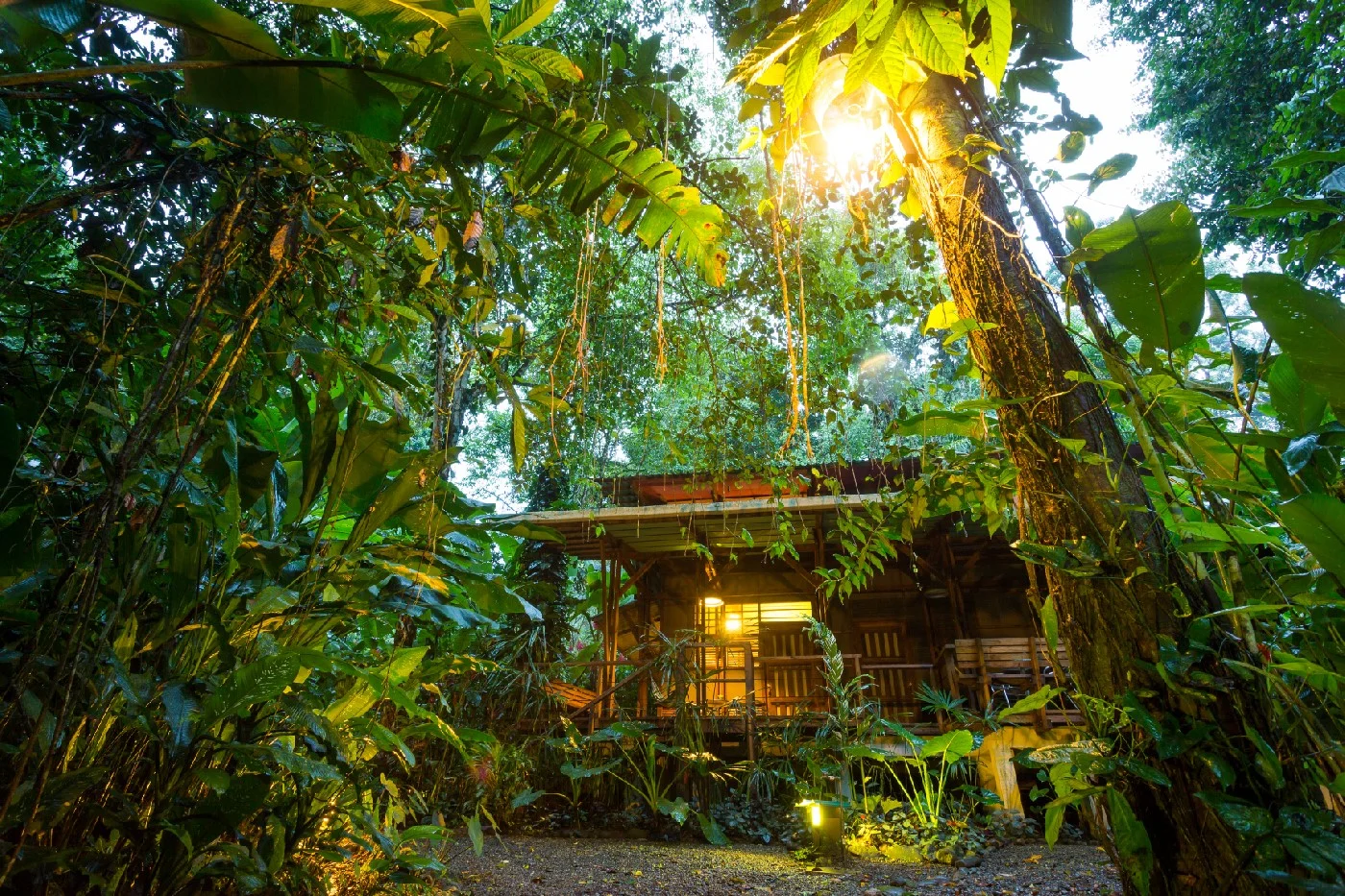 Lodge surrounded by green leaves and trees