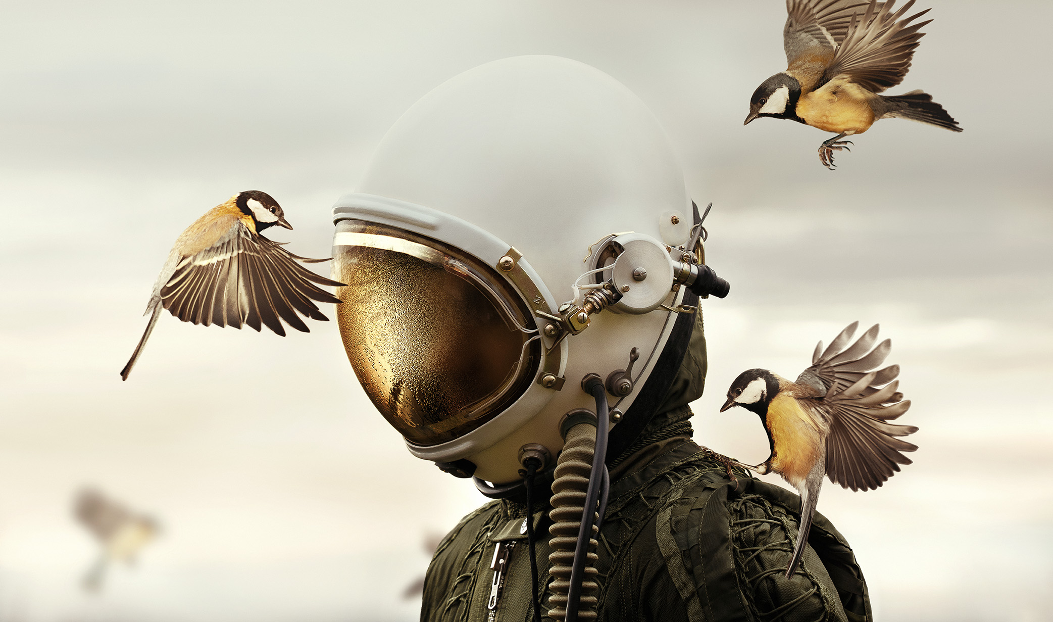 Person in space helmet with three small birds flying around head