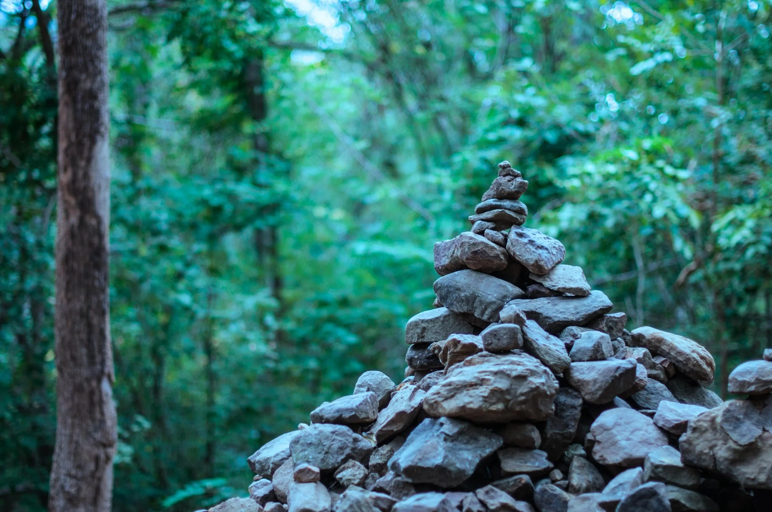 A pile of grey rocks in front of a green forest