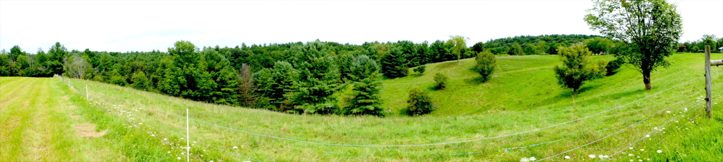 DSCF5256.JPG