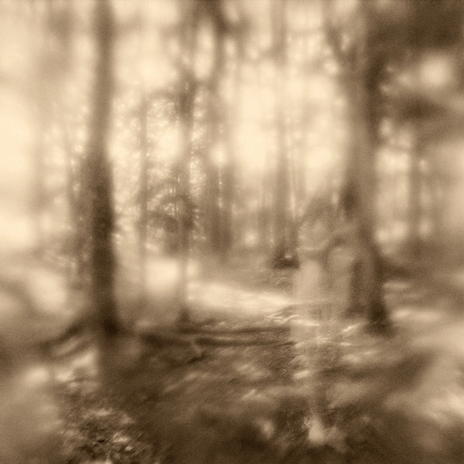 Belonging #2