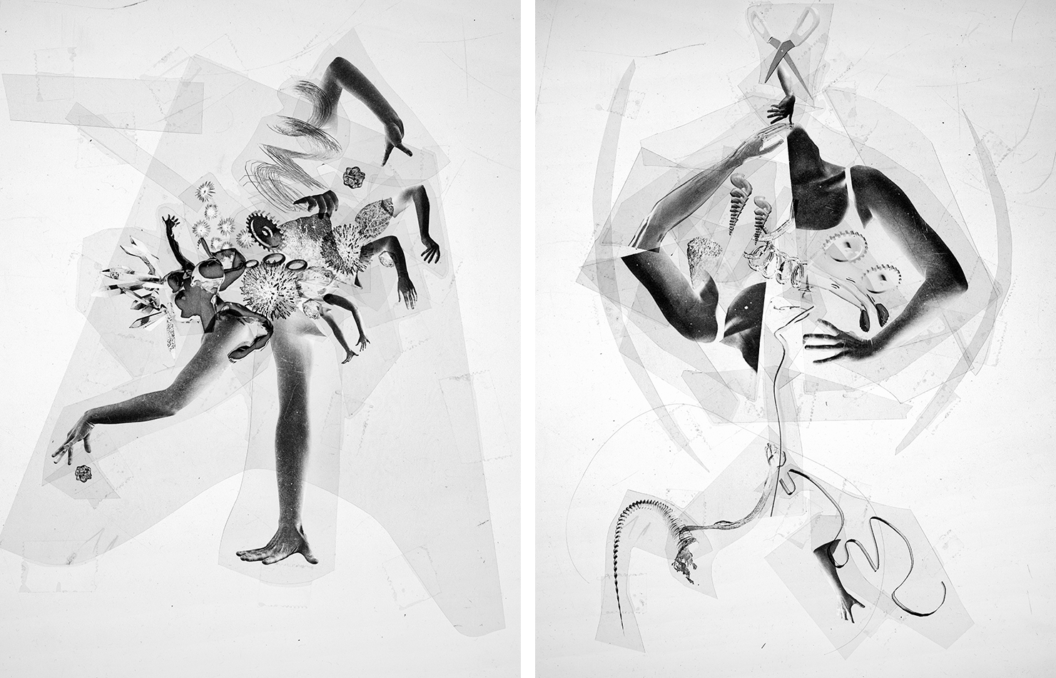 Composite Hybrids , 2019, laser prints on acetate, clear acetate, tape, dimensions variable. These photomontages have been cut and pasted together into assemblages forming creature-like beings. Visually chaotic, they are frozen in a moment in time. Body parts are disconnected and rearranged with other images from both virtual and real worlds. They hover in a fragmented frame, of subtle overlapping sharp shapes and lines. The cuts are completely visible, and their method of creation is no secret. Emerging from my imagination and manifesting itself in negative form, these composites are an ongoing part of my studio practice that allows me to explore speculative narratives of a technologically mediated future. In this future, human bodies have integrated with other living and non-living matter, in a visual representation where the artists hand is emphasized.