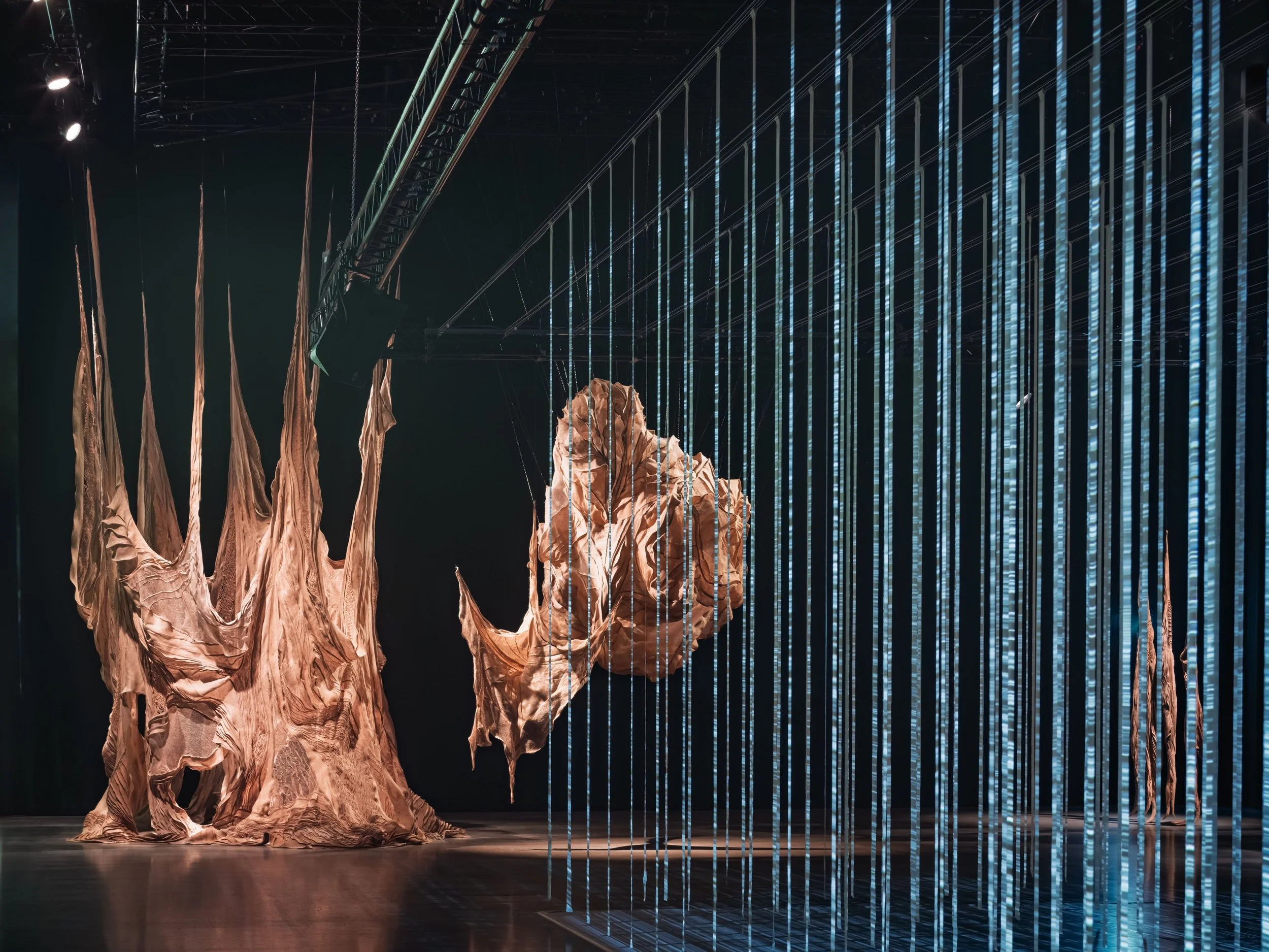 THE ENCHANTED FOREST, ARTIPELAG, 2025