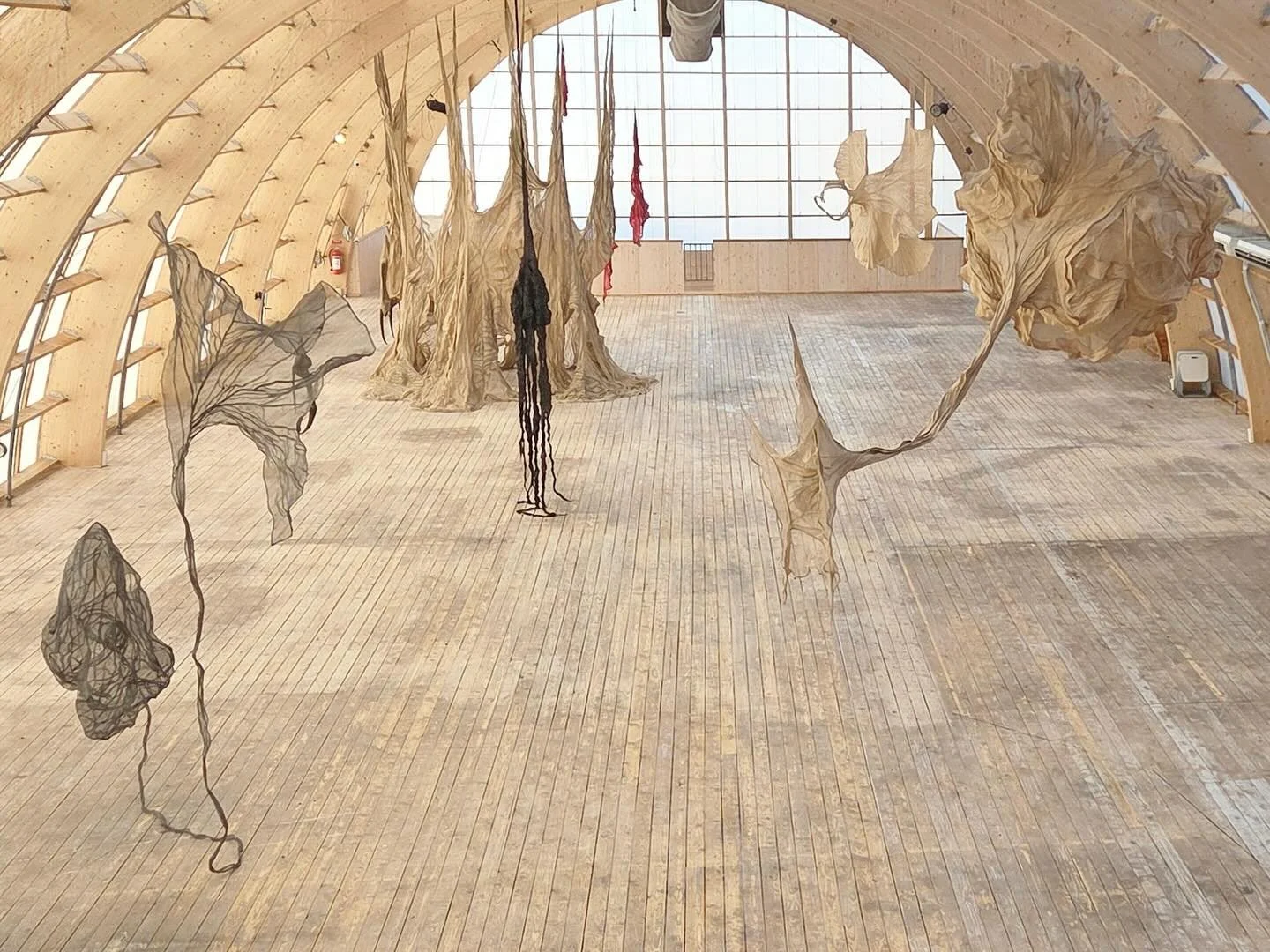 Dubbelnatur (Double Nature) 
@virserumskonsthall 
March 28 - August 30 2026

#dianaorving