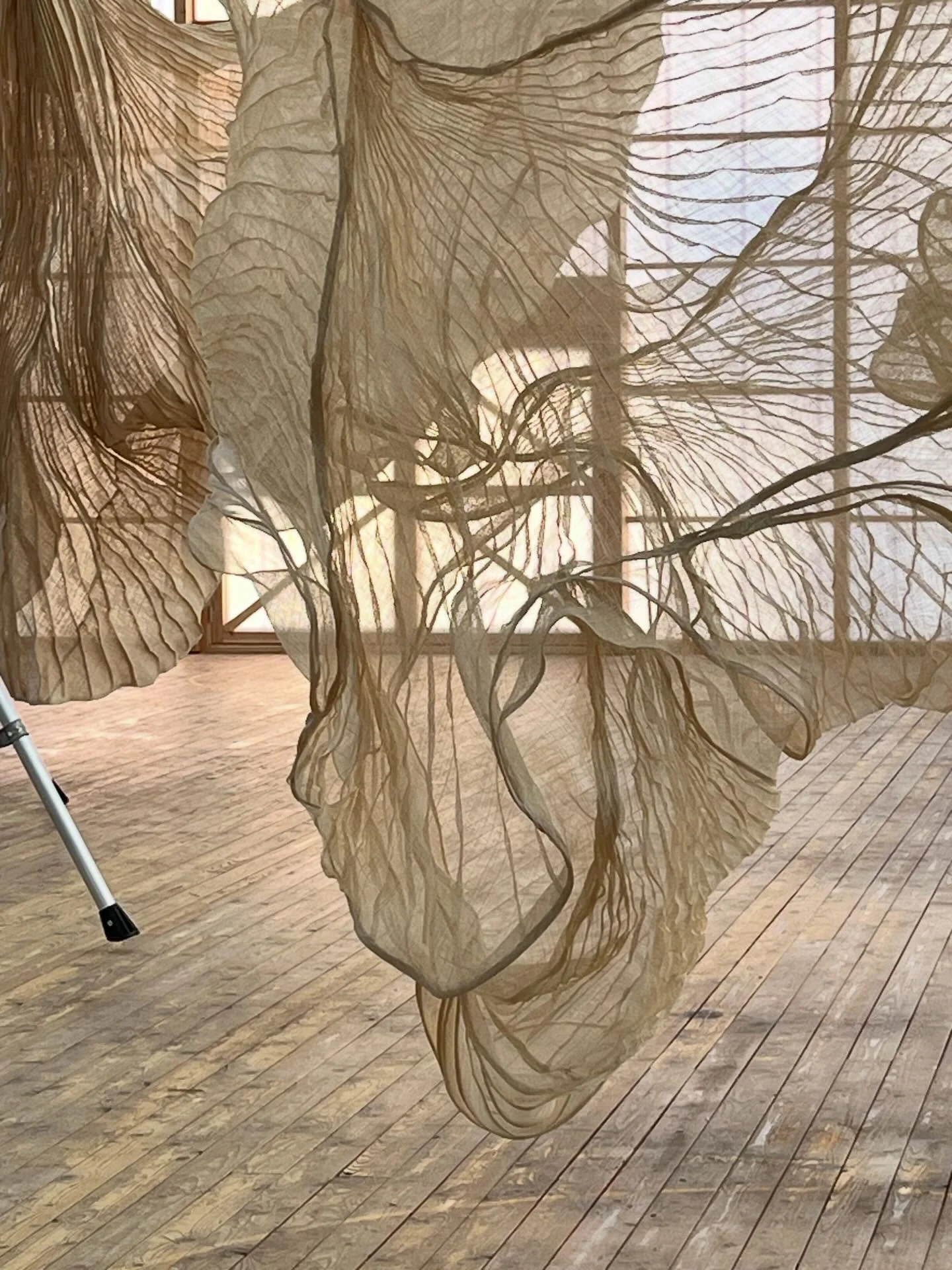 Dubbelnatur (Double Nature) 
@virserumskonsthall 
March 28 - August 30 2026

#dianaorving