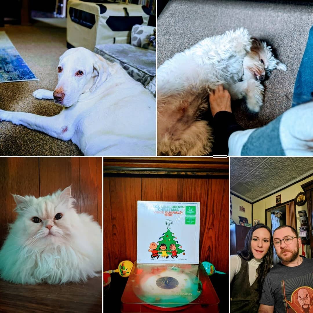 Merry Christmas and Happy Pawlidays from Paws To Pavement! 🐾🎁❤️ #PawsToPavement #HappyHolidays #CharlieBrownChristmas #Brooklyn #BrooklynDogs #CatsAndDogs #DogsOfInstagram #LabsOfInstagram #PersianCats #CatsOfInstagram #PetSitter #DogBoarding #PetS