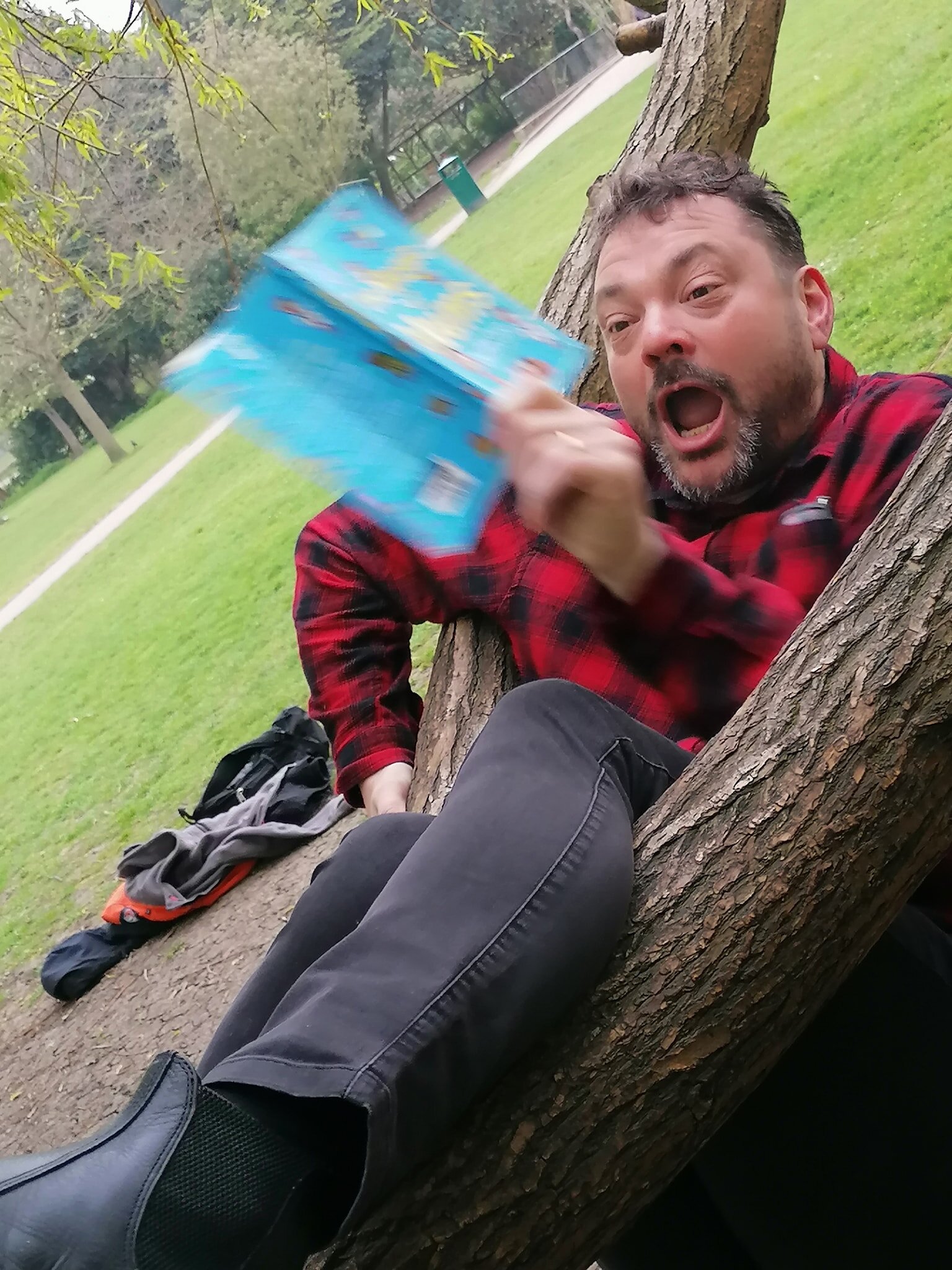 falling out of tree.jpg