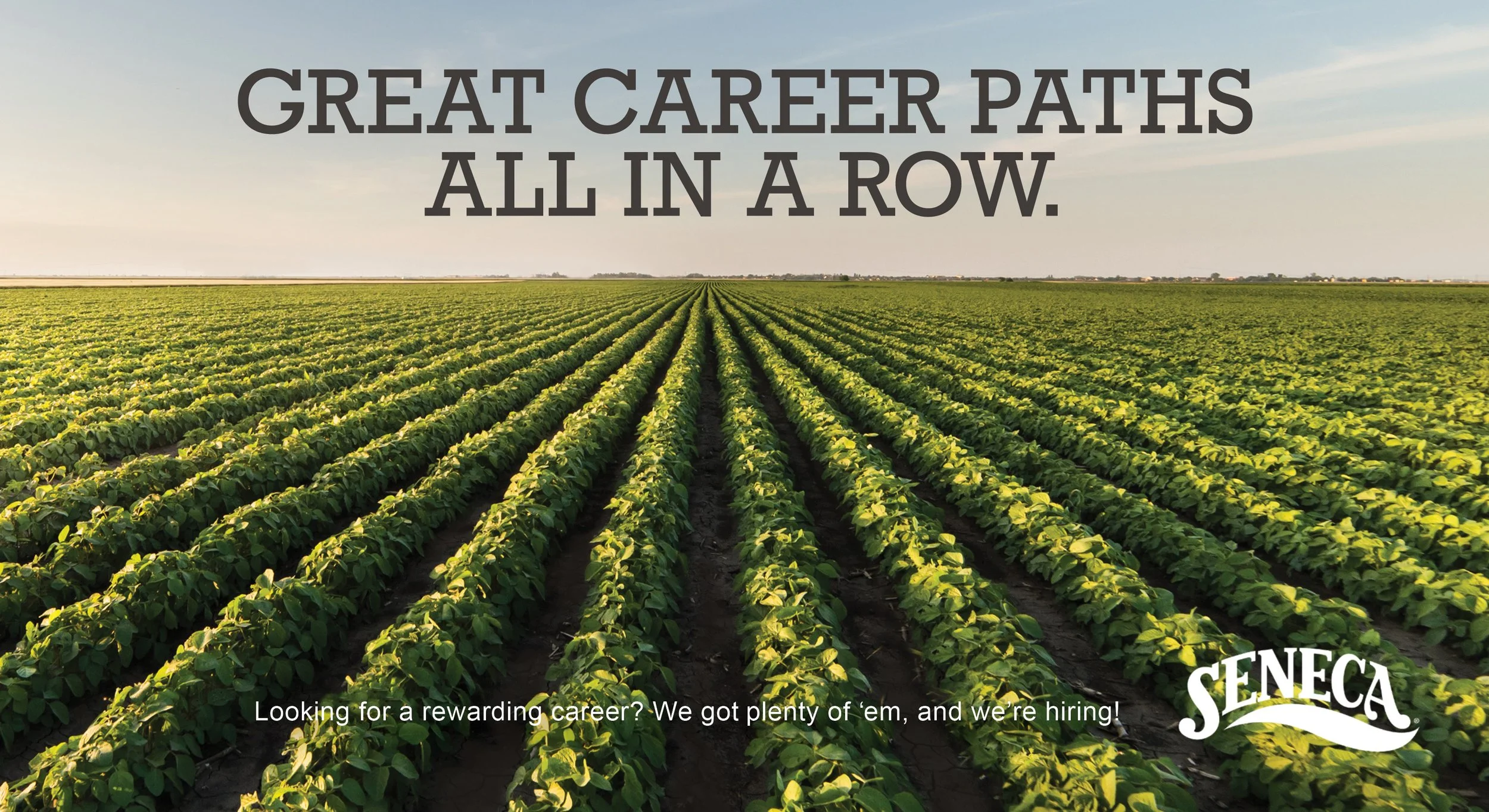 Seneca_Postcard_Career Paths in a Row.jpg