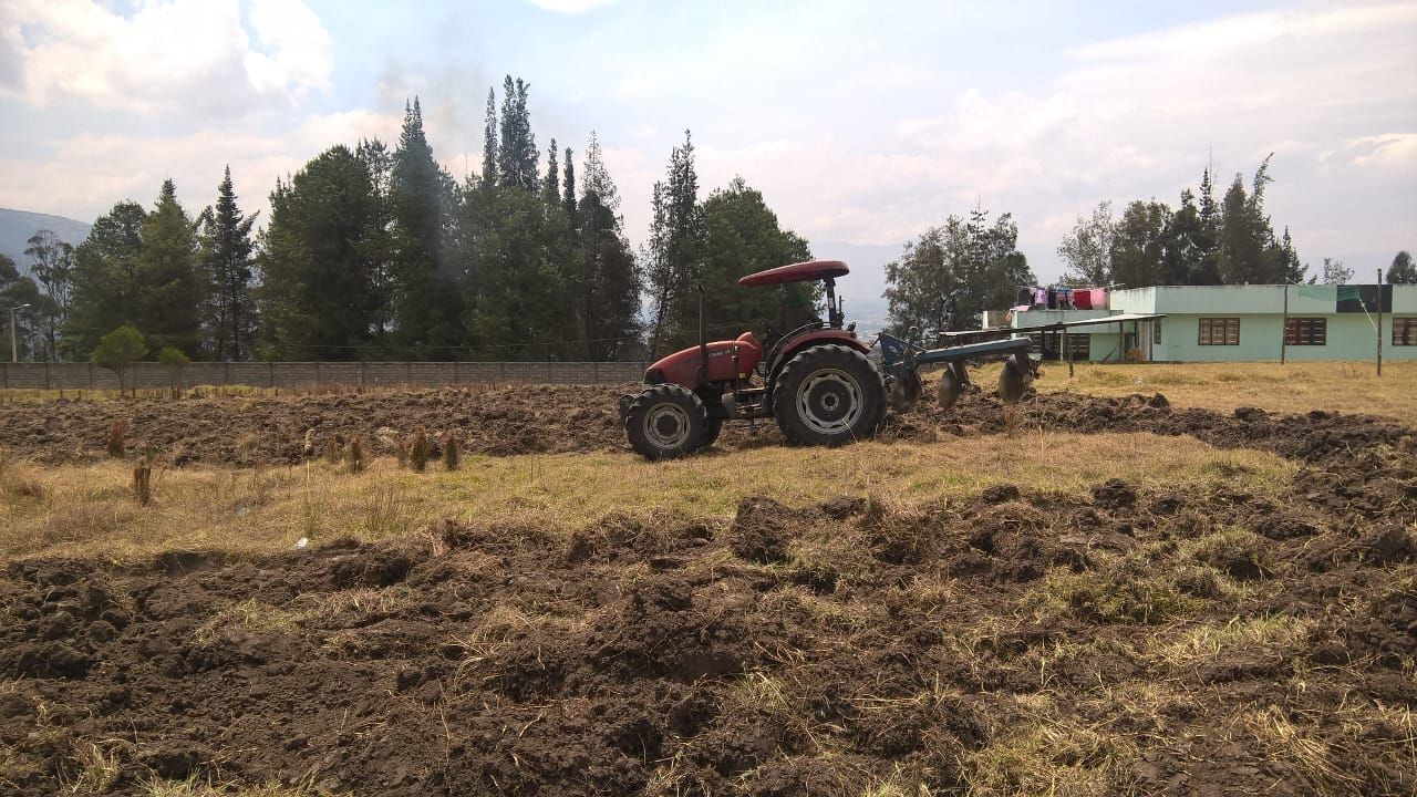 Tractor in fields avocado tree.jpg