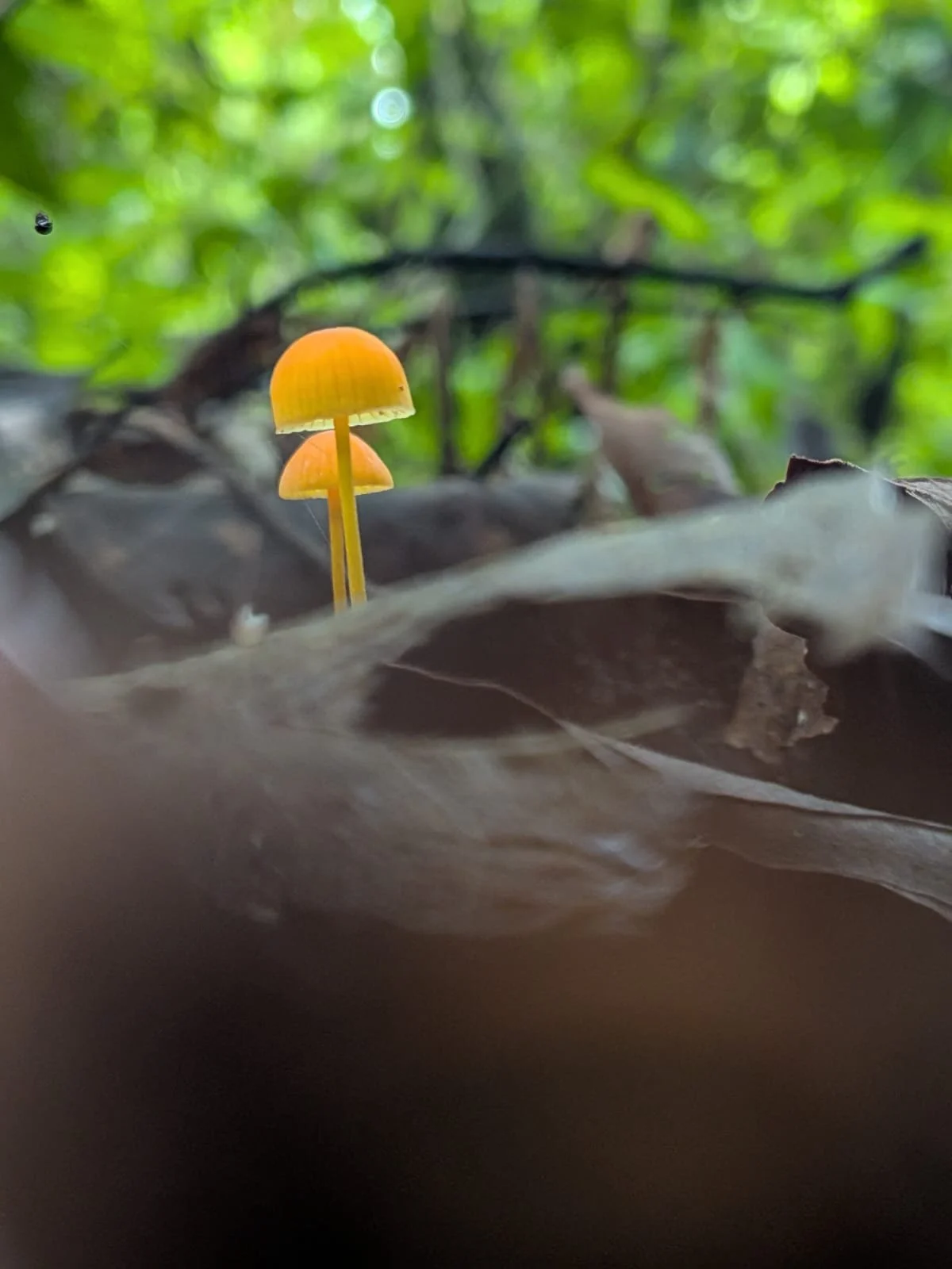 WhatsApp Image 2026-02-19 at 23.17.31 (3).jpeg